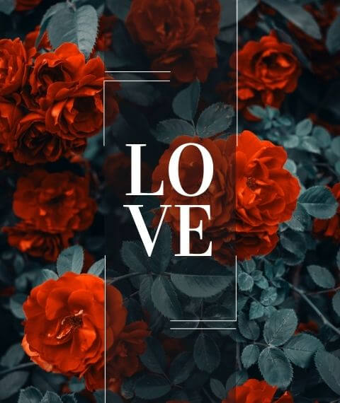 Love - Lord gifts Pakistan