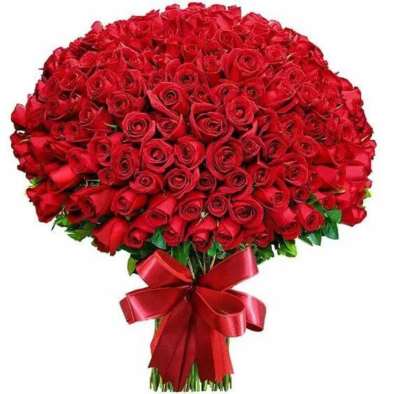 200 Long Stem Red Roses - Vase –